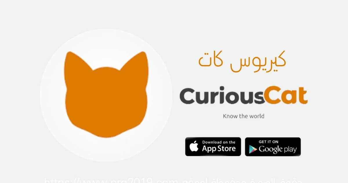 تحميل تطبيق كيريوس كات Curious Cat للاندرويد 2022 اخر اصدار